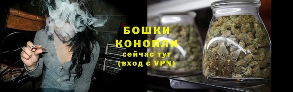 бошки Аркадак