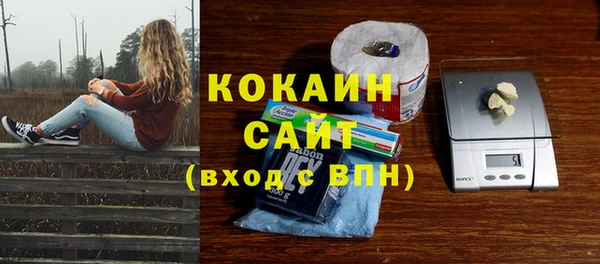 эйфоретик Арсеньев